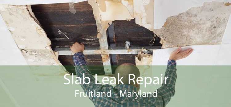 Slab Leak Repair Fruitland - Maryland