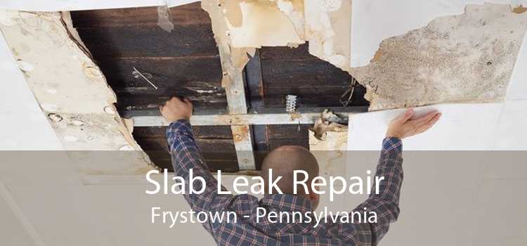 Slab Leak Repair Frystown - Pennsylvania