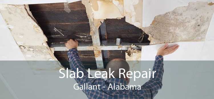 Slab Leak Repair Gallant - Alabama
