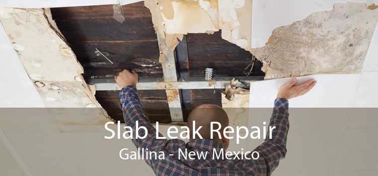 Slab Leak Repair Gallina - New Mexico