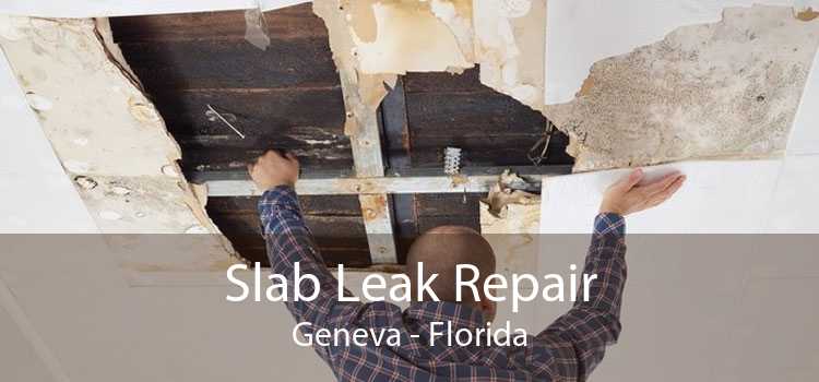 Slab Leak Repair Geneva - Florida