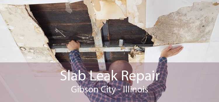 Slab Leak Repair Gibson City - Illinois