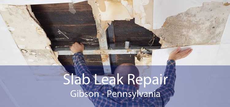 Slab Leak Repair Gibson - Pennsylvania