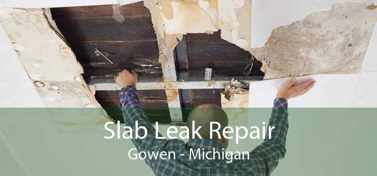 Slab Leak Repair Gowen - Michigan