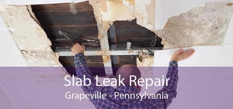 Slab Leak Repair Grapeville - Pennsylvania