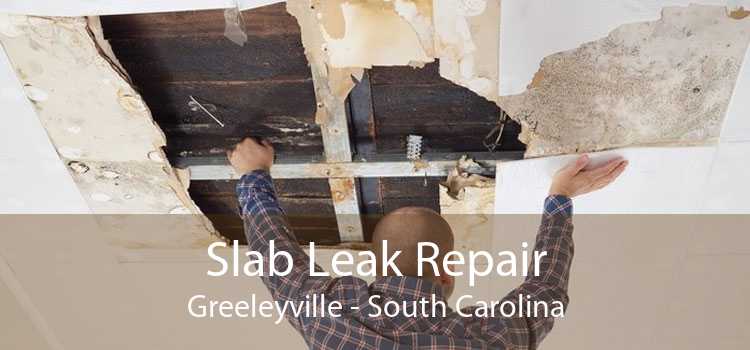 Slab Leak Repair Greeleyville - South Carolina