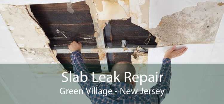 Slab Leak Repair Green Village - New Jersey