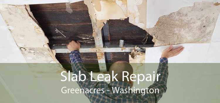 Slab Leak Repair Greenacres - Washington