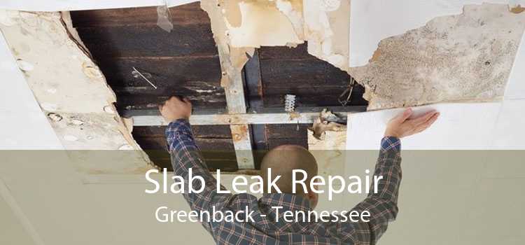 Slab Leak Repair Greenback - Tennessee
