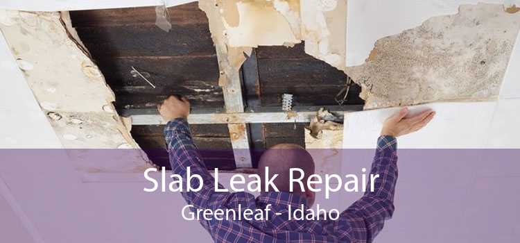 Slab Leak Repair Greenleaf - Idaho