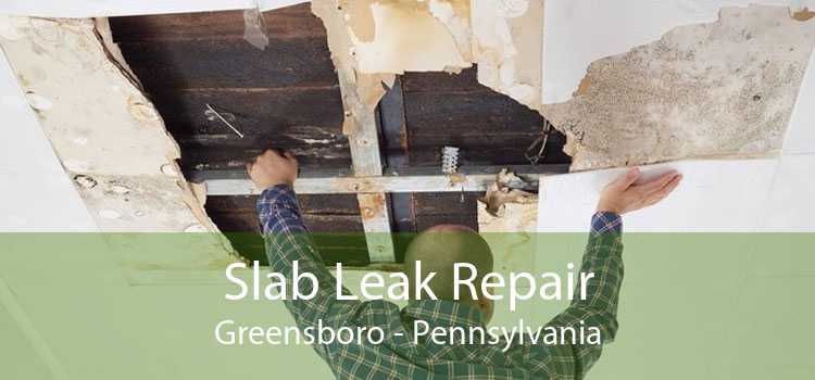 Slab Leak Repair Greensboro - Pennsylvania
