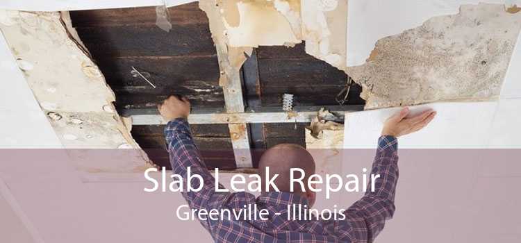 Slab Leak Repair Greenville - Illinois