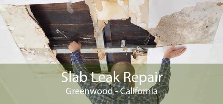 Slab Leak Repair Greenwood - California