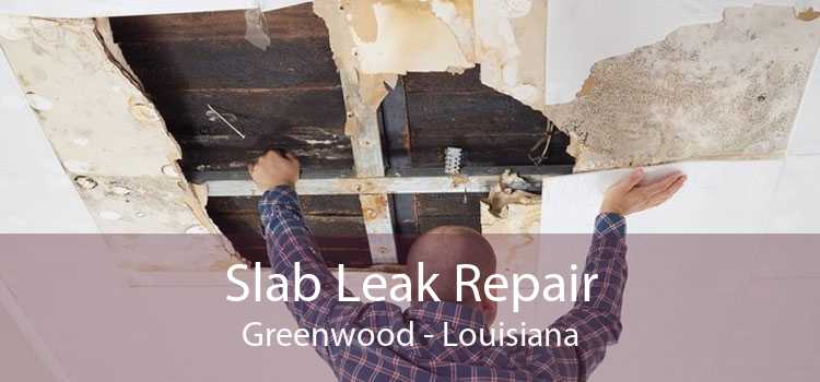 Slab Leak Repair Greenwood - Louisiana