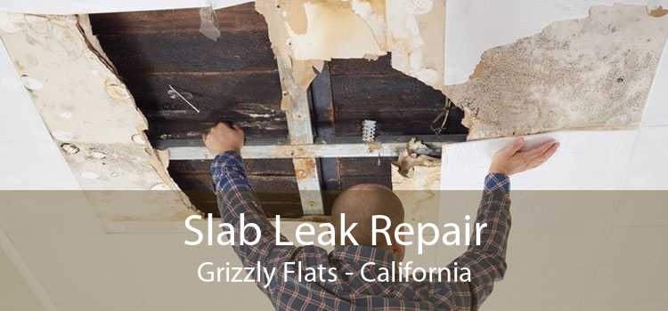 Slab Leak Repair Grizzly Flats - California