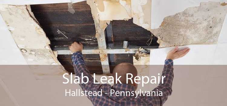 Slab Leak Repair Hallstead - Pennsylvania