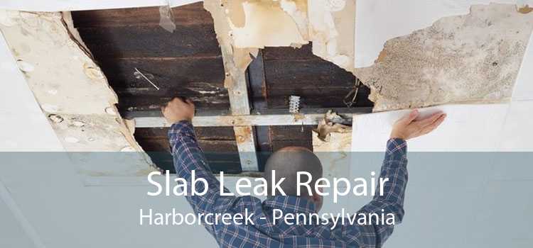 Slab Leak Repair Harborcreek - Pennsylvania
