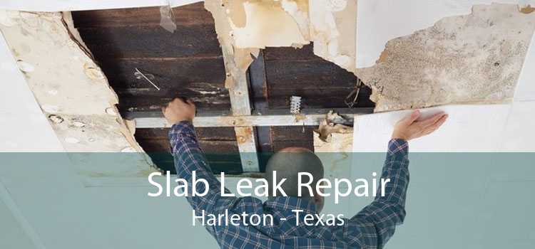 Slab Leak Repair Harleton - Texas