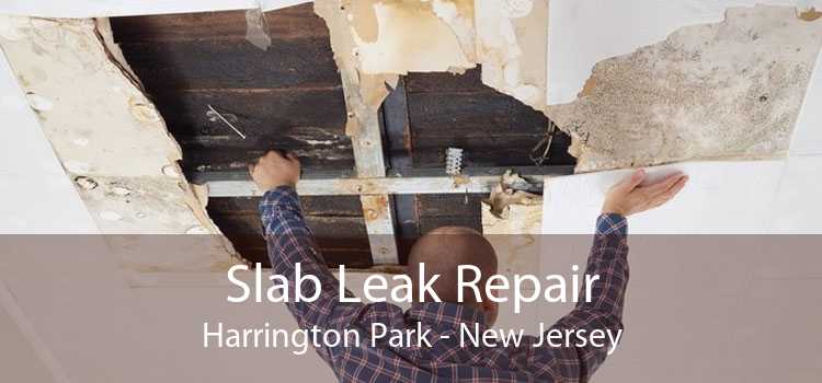 Slab Leak Repair Harrington Park - New Jersey