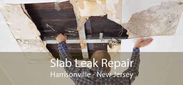 Slab Leak Repair Harrisonville - New Jersey