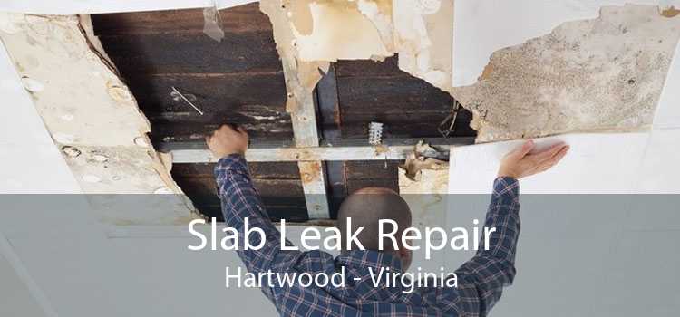 Slab Leak Repair Hartwood - Virginia