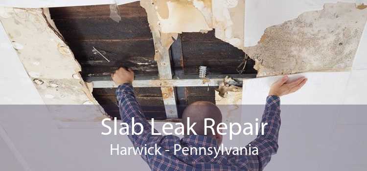 Slab Leak Repair Harwick - Pennsylvania