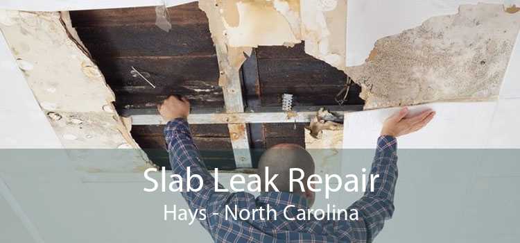 Slab Leak Repair Hays - North Carolina