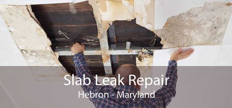 Slab Leak Repair Hebron - Maryland