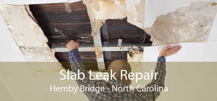 Slab Leak Repair Hemby Bridge - North Carolina