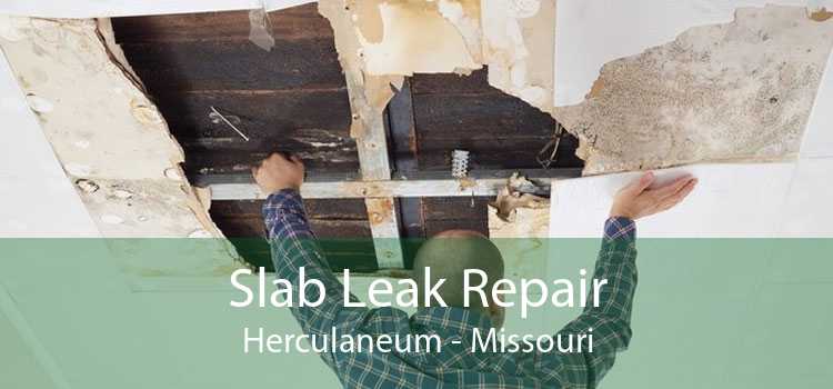 Slab Leak Repair Herculaneum - Missouri