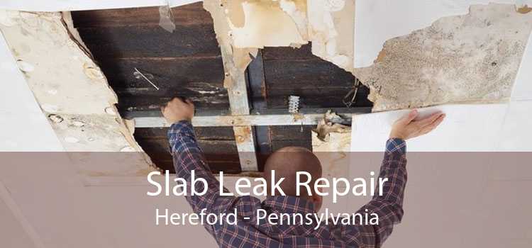 Slab Leak Repair Hereford - Pennsylvania