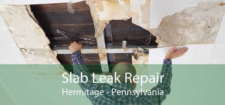 Slab Leak Repair Hermitage - Pennsylvania