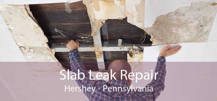 Slab Leak Repair Hershey - Pennsylvania