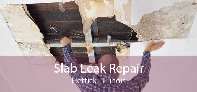 Slab Leak Repair Hettick - Illinois