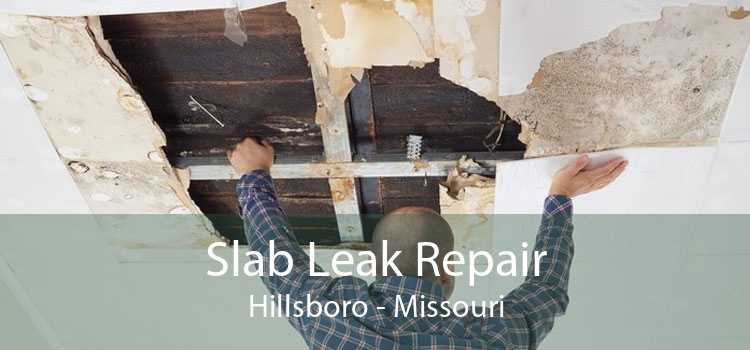 Slab Leak Repair Hillsboro - Missouri