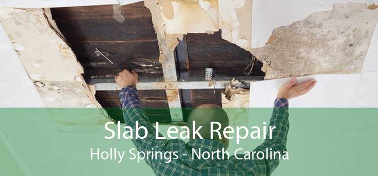 Slab Leak Repair Holly Springs - North Carolina