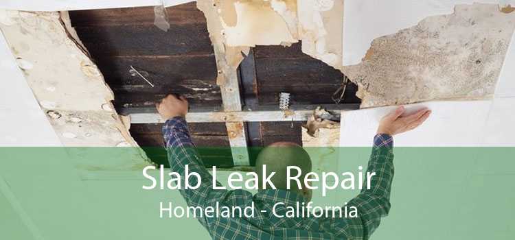 Slab Leak Repair Homeland - California