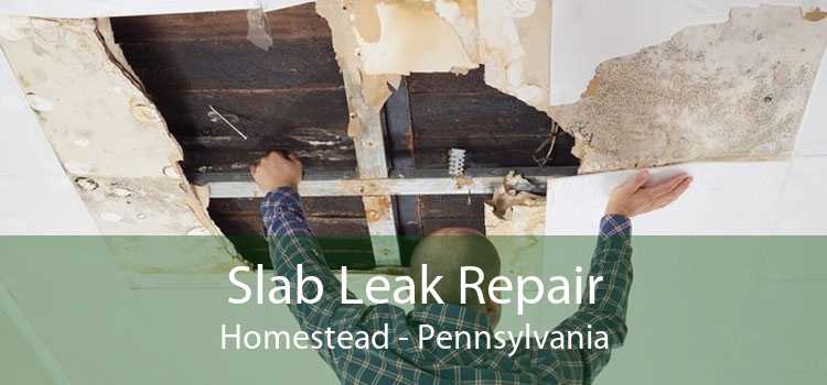 Slab Leak Repair Homestead - Pennsylvania
