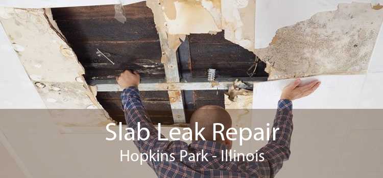Slab Leak Repair Hopkins Park - Illinois