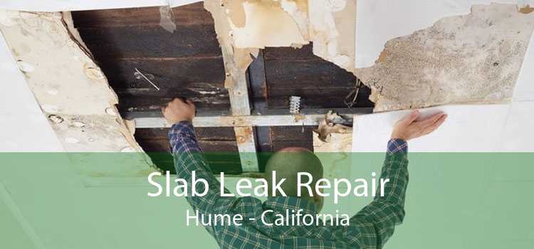 Slab Leak Repair Hume - California