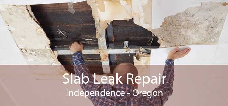 Slab Leak Repair Independence - Oregon