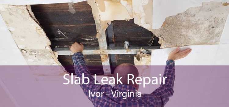 Slab Leak Repair Ivor - Virginia