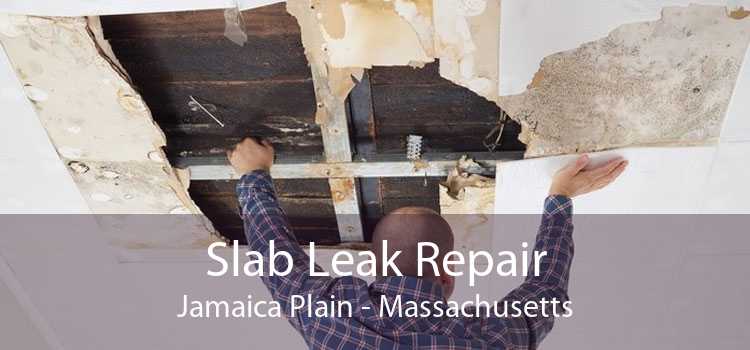 Slab Leak Repair Jamaica Plain - Massachusetts