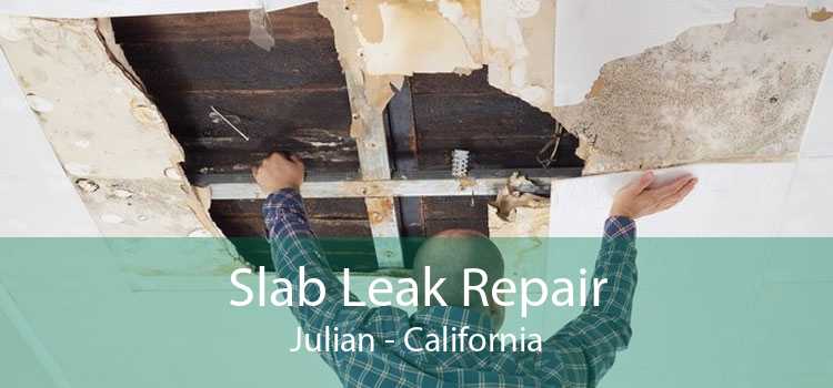 Slab Leak Repair Julian - California