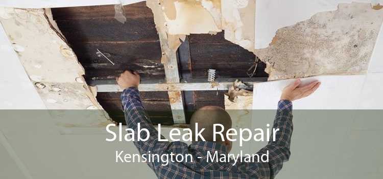 Slab Leak Repair Kensington - Maryland