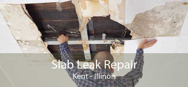 Slab Leak Repair Kent - Illinois