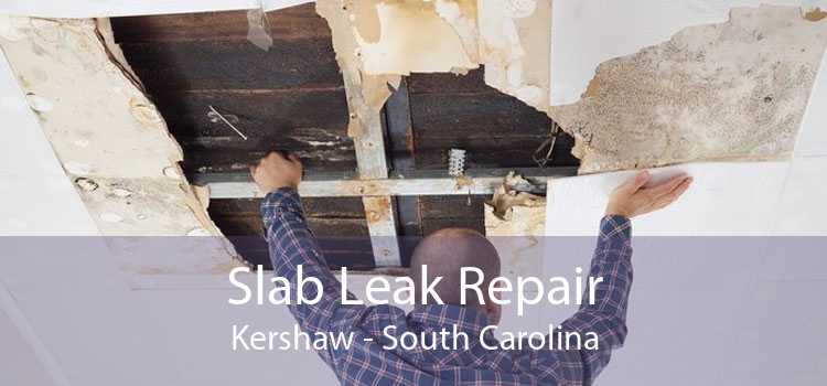 Slab Leak Repair Kershaw - South Carolina