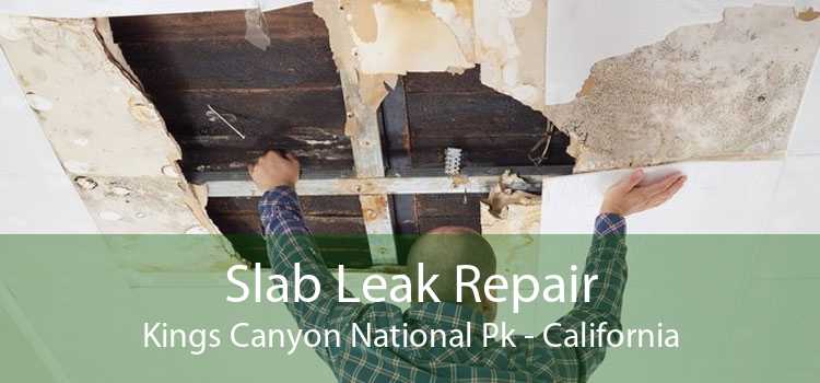 Slab Leak Repair Kings Canyon National Pk - California