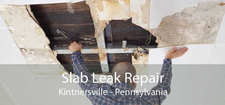 Slab Leak Repair Kintnersville - Pennsylvania