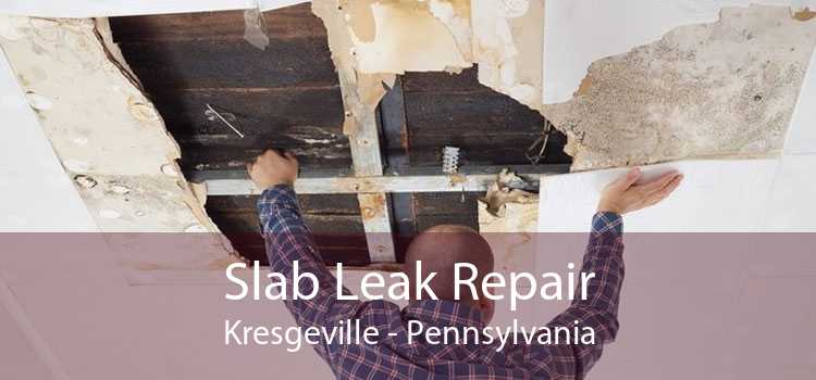 Slab Leak Repair Kresgeville - Pennsylvania